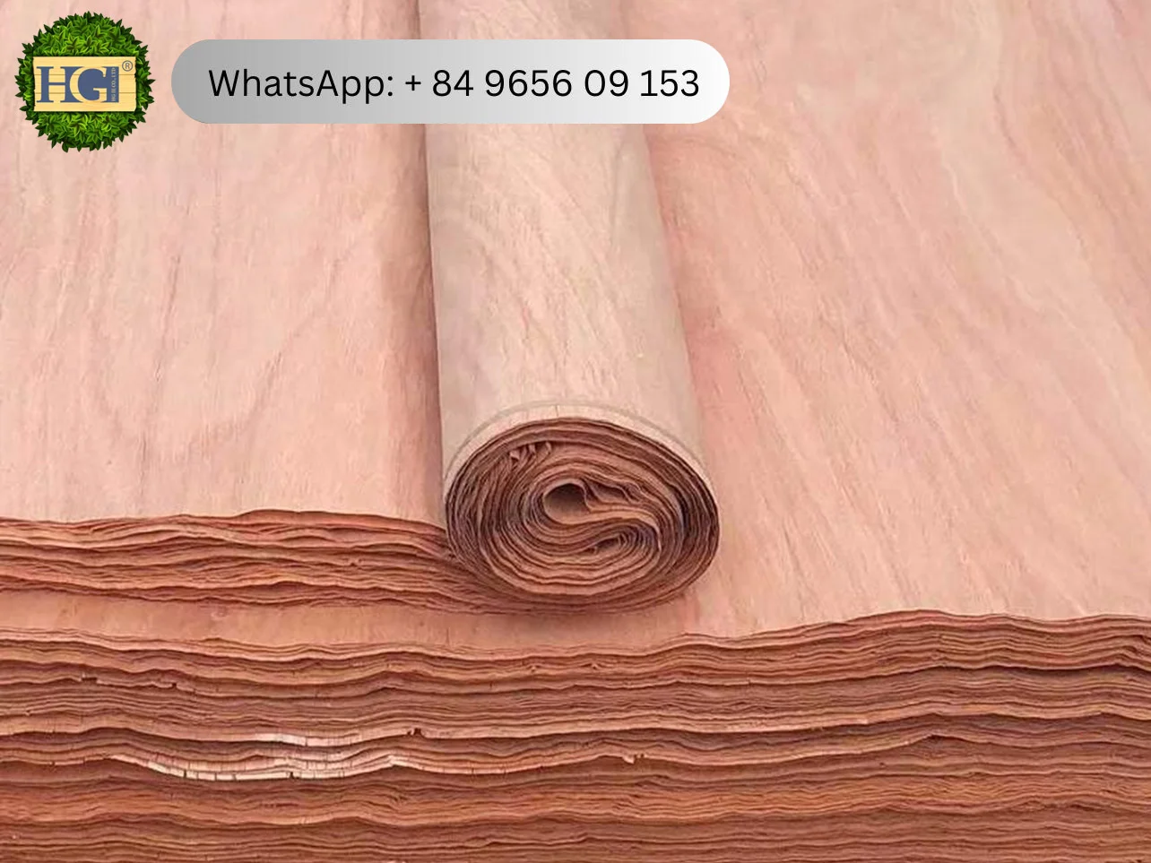 ビンタンゴール表面単板 supplier