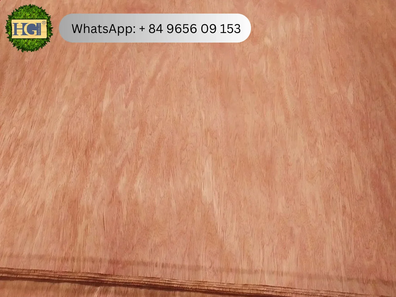 ビンタンゴール表面単板