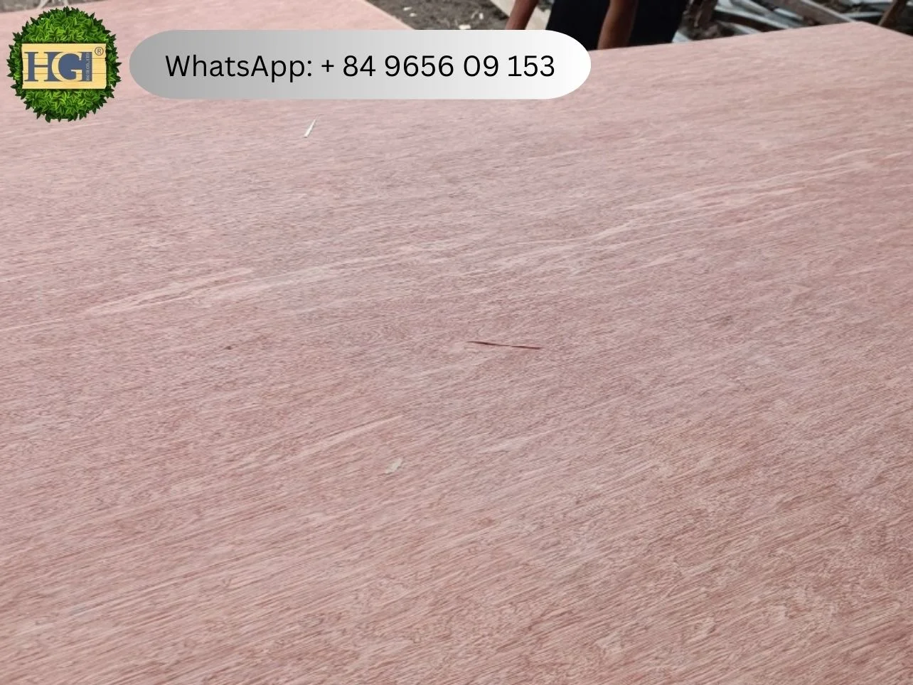 packing commercial vietnam