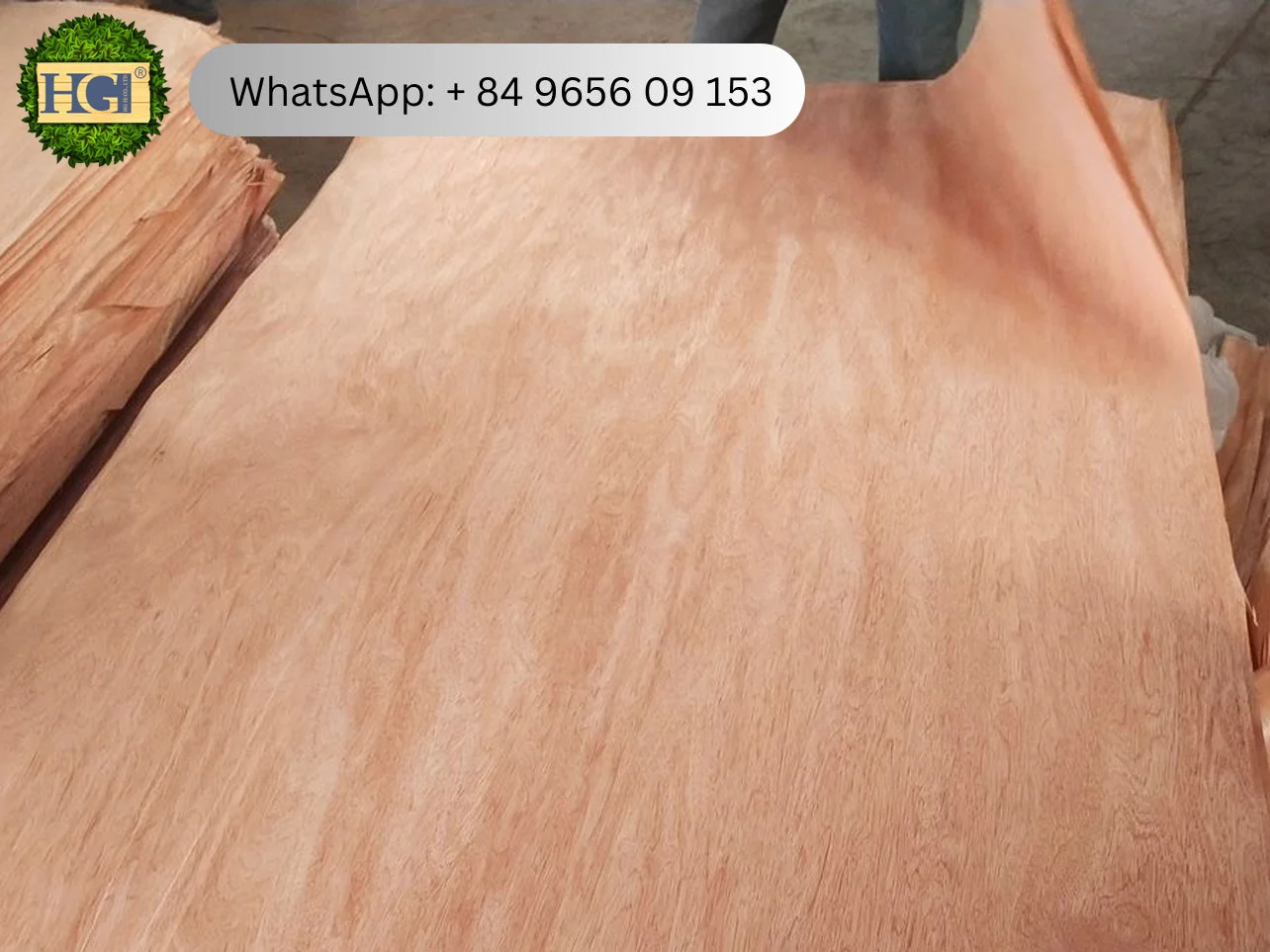 ビンタンゴール単板サプライヤー