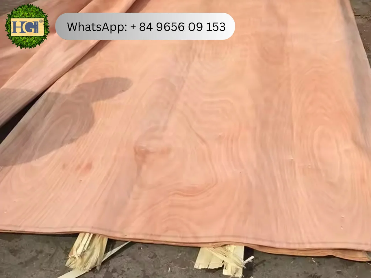 オコウメ表面単板