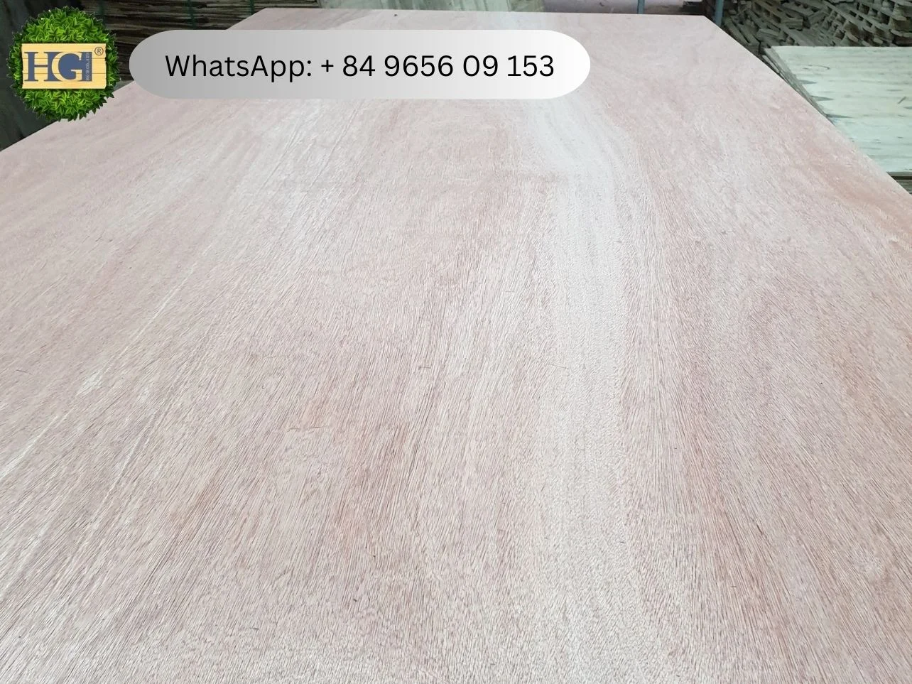 vietnam commercial factory