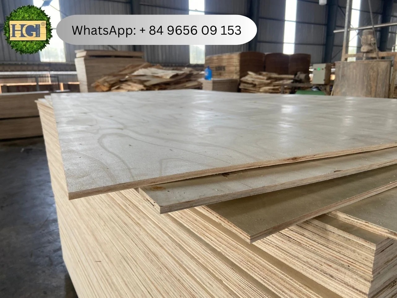 packing plywood vietnam