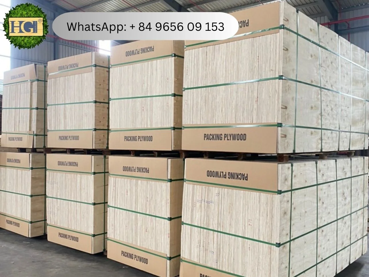 vietnam cheap plywood